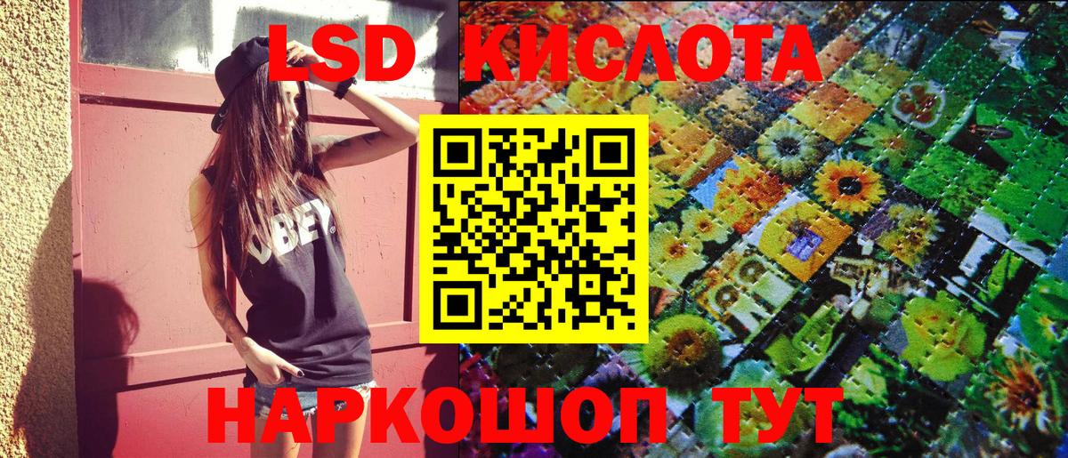 Галлюциногенные грибы Дивногорск