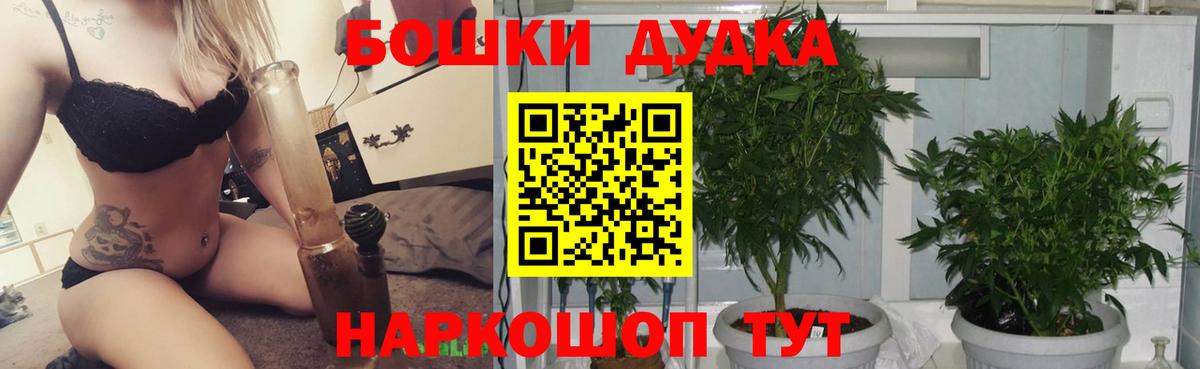 Канабис тримм  Вход с VPN  Конопля ГИДРОПОН  Каннабис SATIVA & INDICA  Канабис AK-47  Дивногорск 